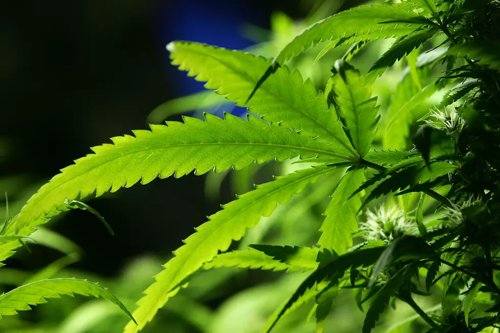 More and More Texans Are Using Medical Marijuana